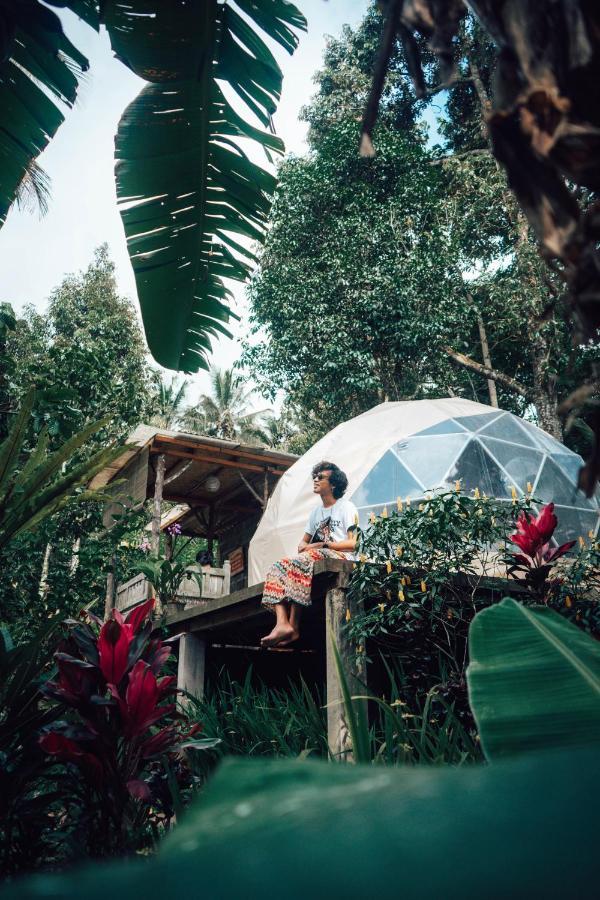 Bali Jungle Camping By Amerta Experience Selemadeg Exteriör bild