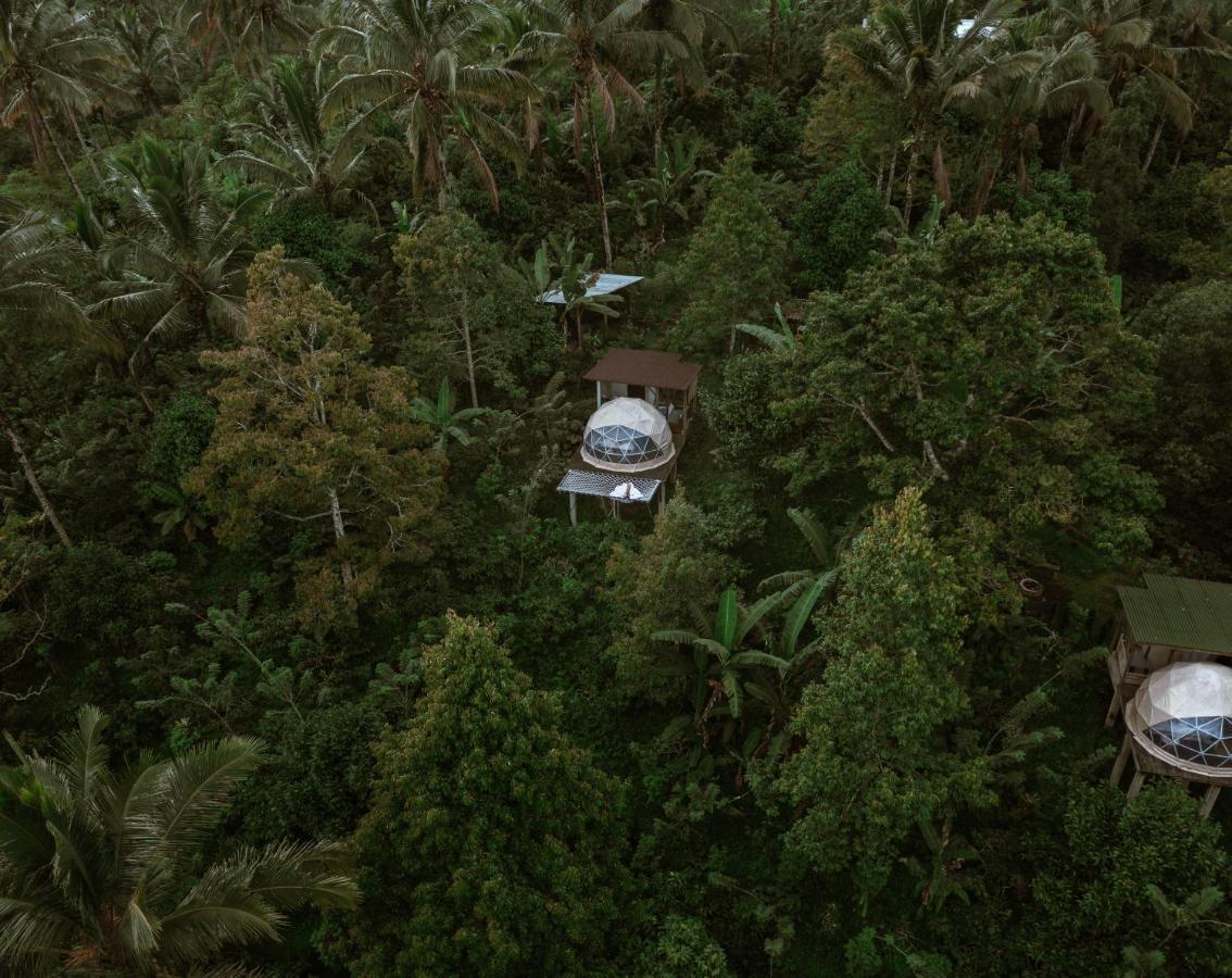 Bali Jungle Camping By Amerta Experience Selemadeg Exteriör bild