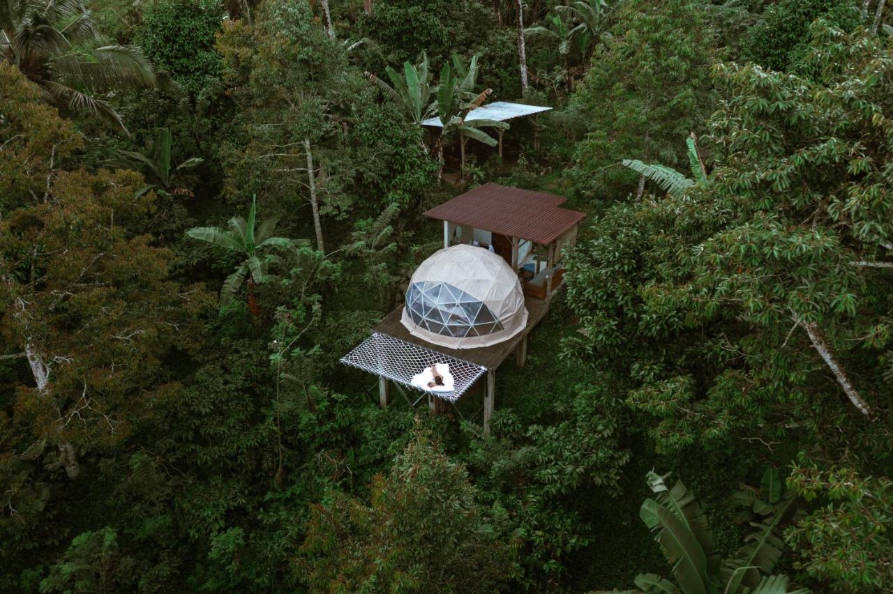 Bali Jungle Camping By Amerta Experience Selemadeg Exteriör bild