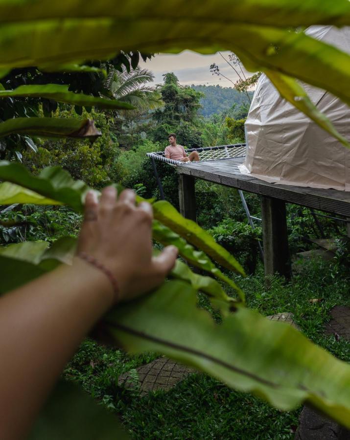 Bali Jungle Camping By Amerta Experience Selemadeg Exteriör bild