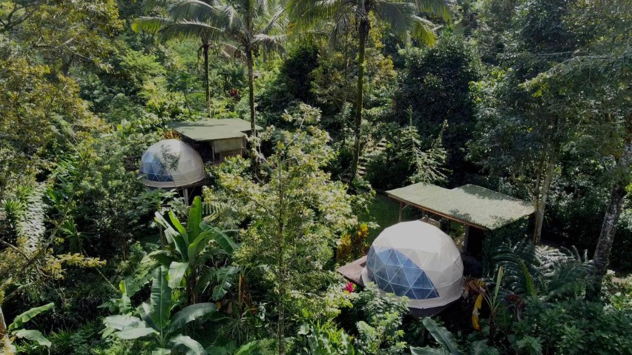 Bali Jungle Camping By Amerta Experience Selemadeg Exteriör bild