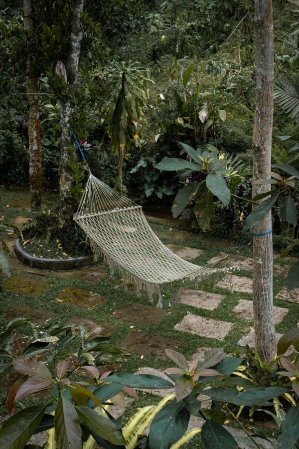 Bali Jungle Camping By Amerta Experience Selemadeg Exteriör bild
