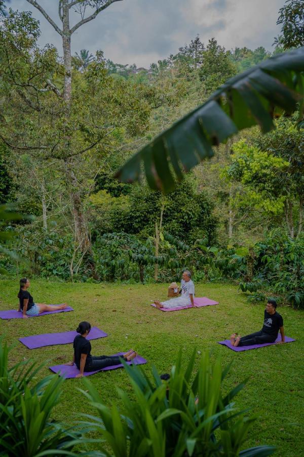 Bali Jungle Camping By Amerta Experience Selemadeg Exteriör bild