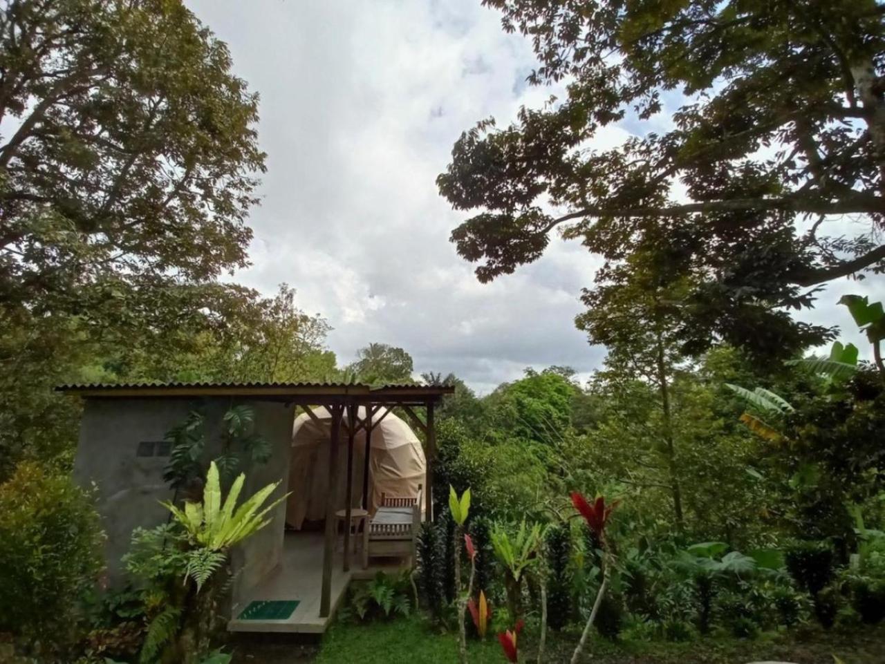 Bali Jungle Camping By Amerta Experience Selemadeg Exteriör bild