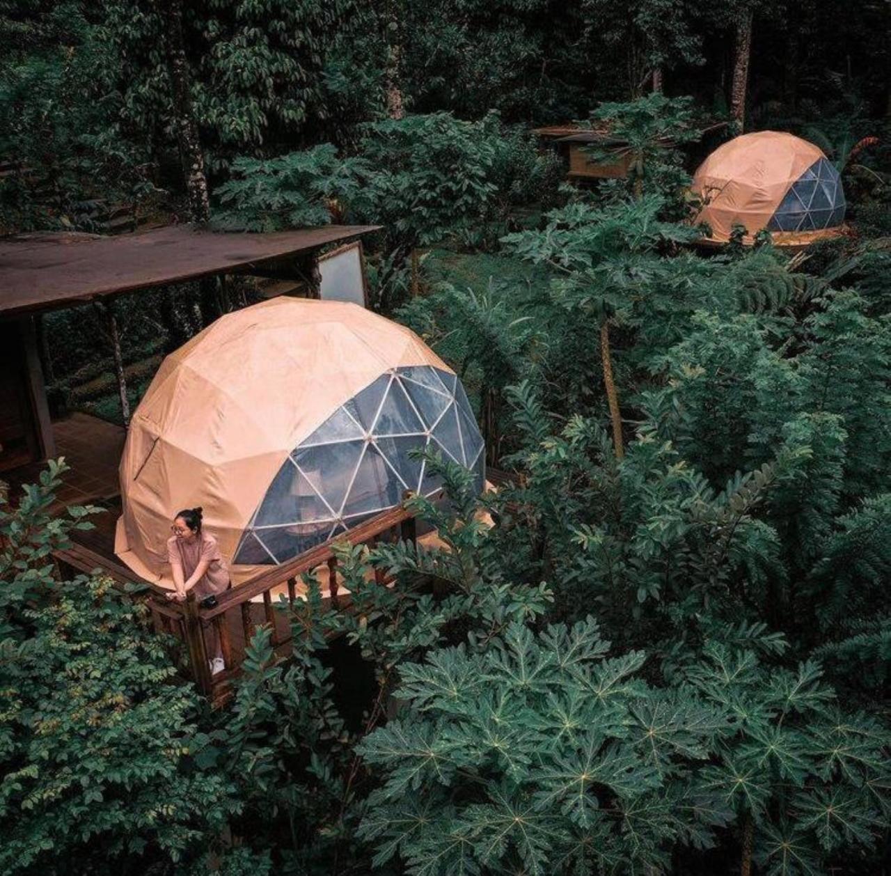 Bali Jungle Camping By Amerta Experience Selemadeg Exteriör bild