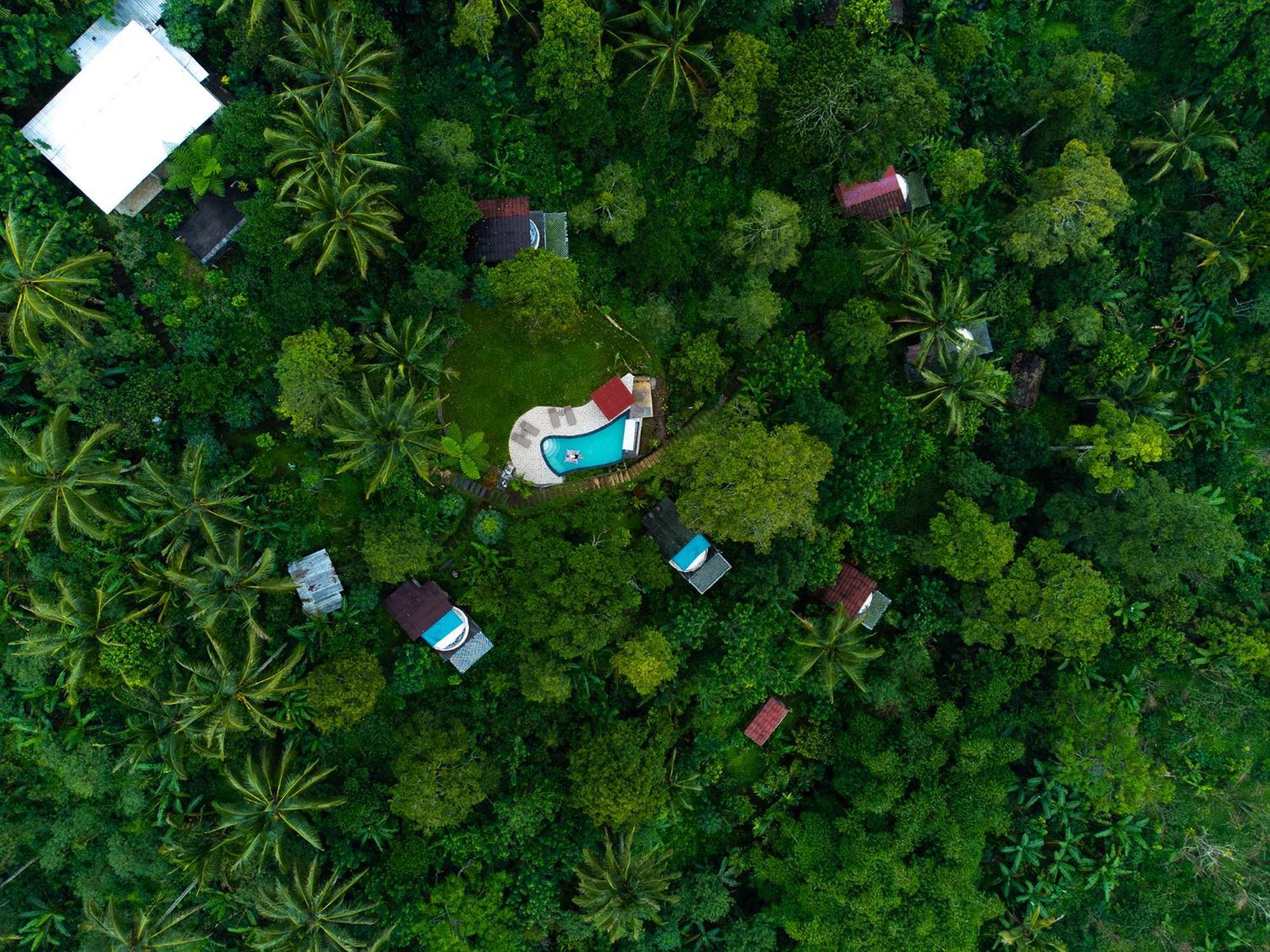 Bali Jungle Camping By Amerta Experience Selemadeg Exteriör bild